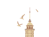 gulls
